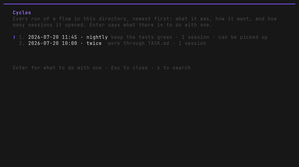 The /cycles list: two runs, each with when it began, the flow that ran, what it was asked to
do and how many sessions it opened, the newer one marked "can be picked up"