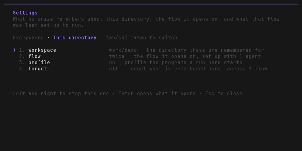 the /settings page for this directory, with the profile row switched on beside workspace,
flow and forget