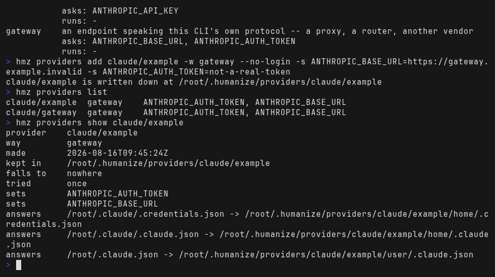 hmz providers show on a gateway account: the way, when it was made, where it is kept, what it
falls back to, how it is tried again, the two variables it sets by name, and the three paths a
turn under it is answered with